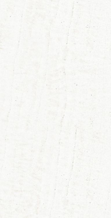 OL Onyx White Polished 12 x 24